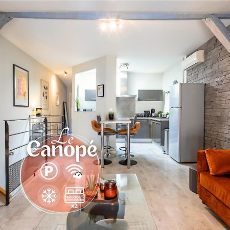 Le Canope - T3 Duplex, 2 Salles D'Eau, Hypercentre Καστρ Εξωτερικό φωτογραφία
