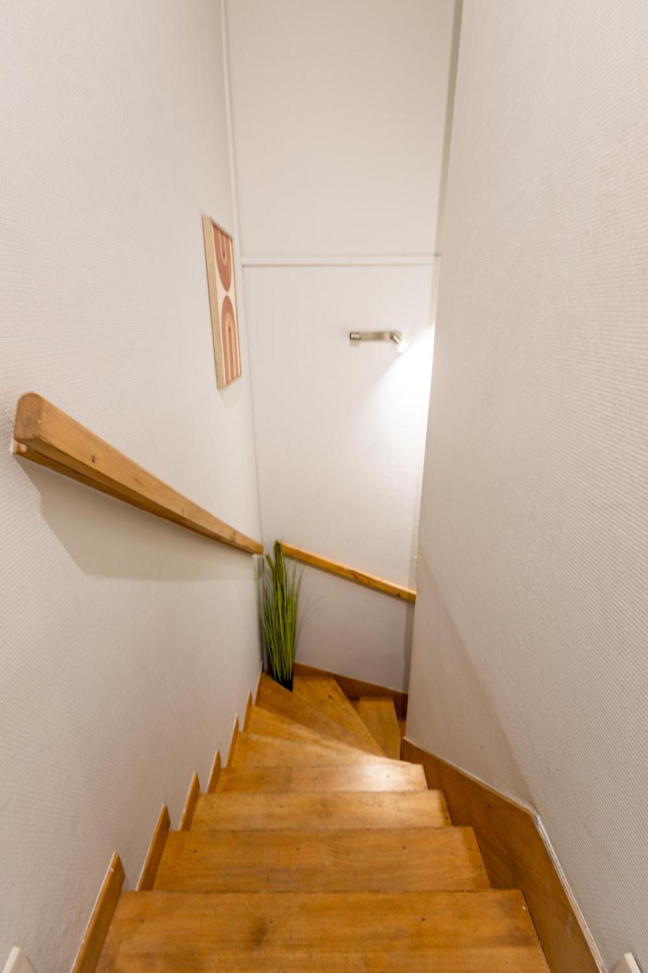 Le Canope - T3 Duplex, 2 Salles D'Eau, Hypercentre Καστρ Εξωτερικό φωτογραφία